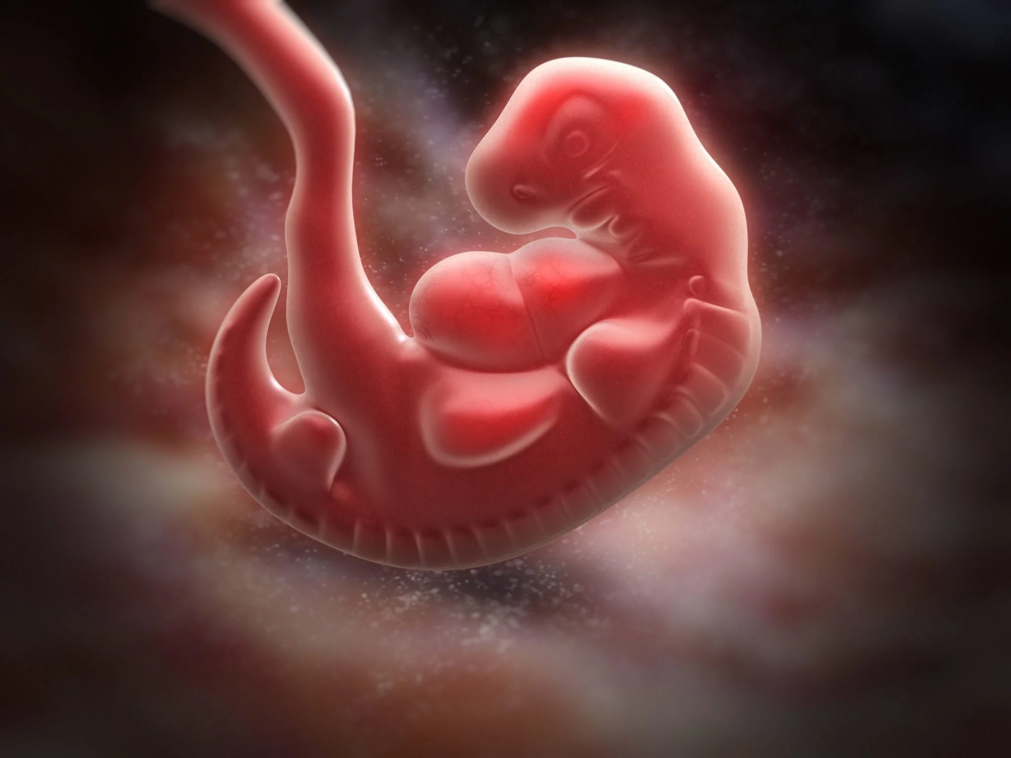 Baby Form Sperm